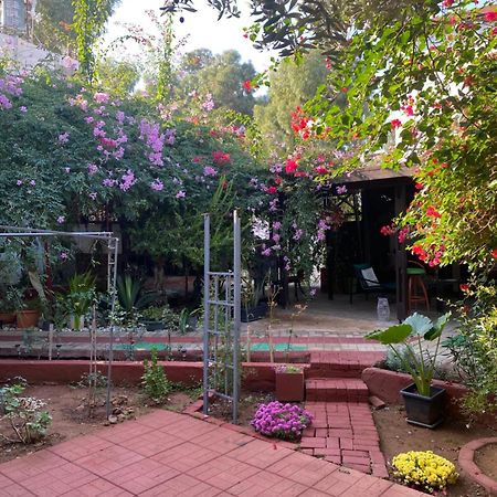 Betul Guest House 파마구스타 외부 사진