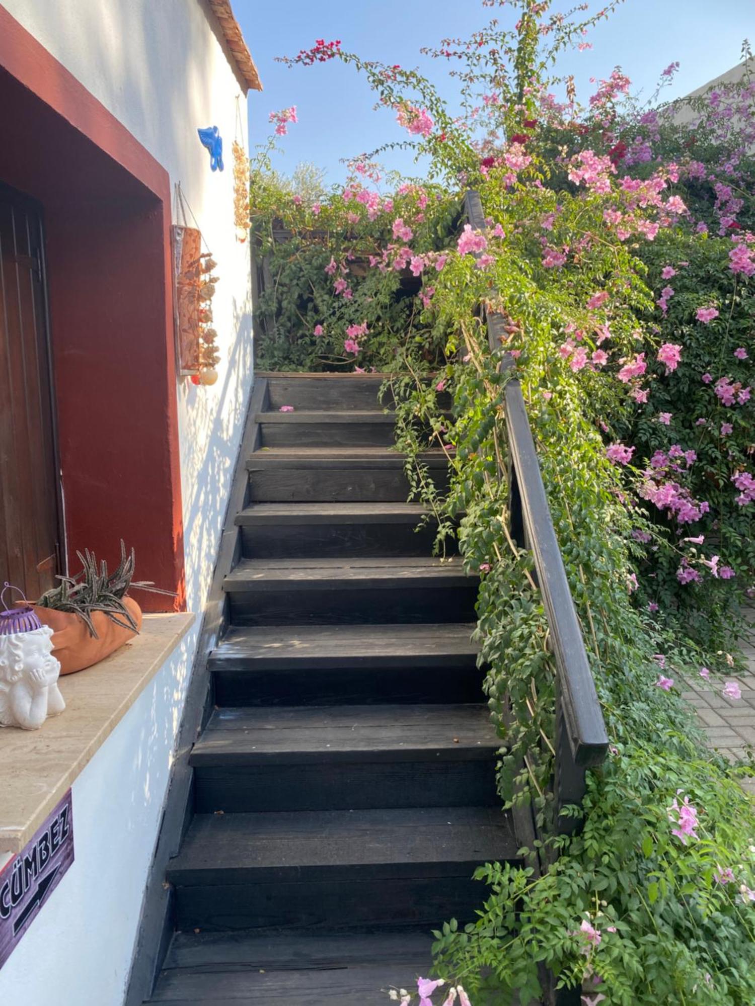 Betul Guest House 파마구스타 외부 사진