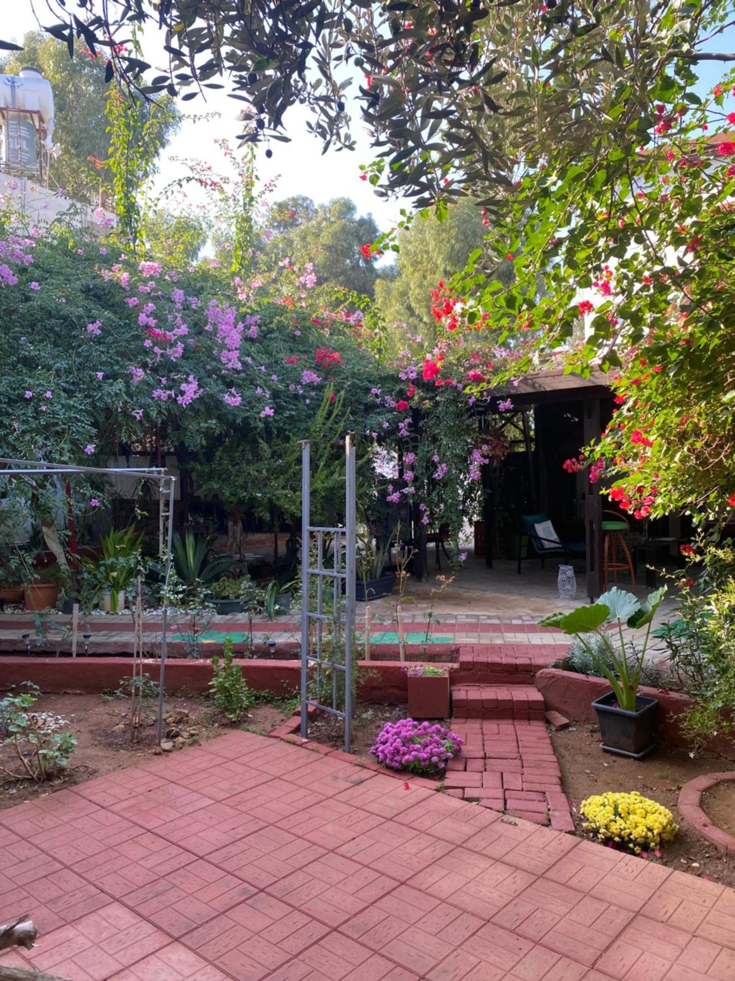 Betul Guest House 파마구스타 외부 사진